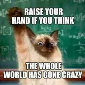 Meet your Posher, Mallory